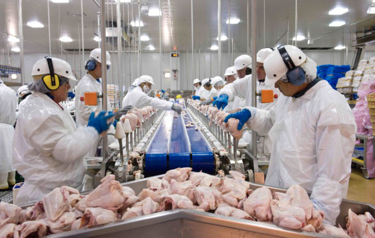 Food Manufacturing Insurance